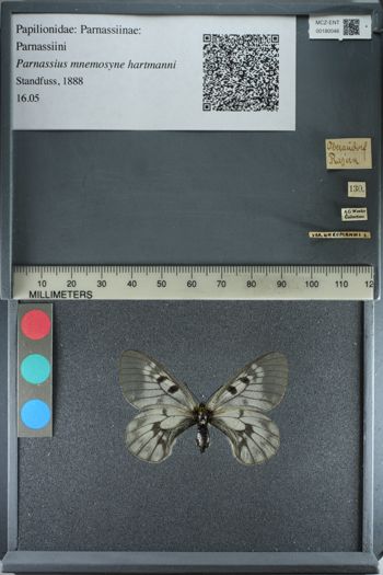 Media type: image;   Entomology 180046